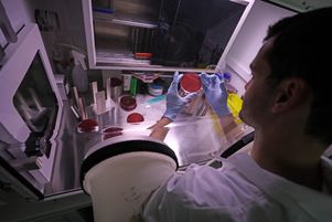 Un scientifique de l’Institut brestois de recherche en bio santé travaille sur la mucoviscidose, en 2022. 