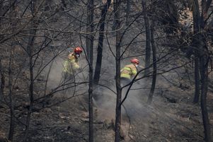 Des pompiers éteignent les braises sur une montagne près du temple de Gounsa après un incendie de forêt qui a dévasté la région, à Uiseong, en Corée du Sud, le 27 mars 2025.