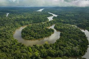 Un rapport de l’observatoire Global Forest Watch, publié ce mercredi 21 mai 2025, souligne que 6,7 millions d’hectares de forêt tropicale ont été détruits en 2024. Photo d’illustration de la forêt amazonienne en Guyane.